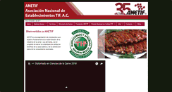 Desktop Screenshot of anetif.org